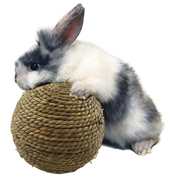 Grass Ball Toys Teeth Cleaning Chew Bite Playing Toy For Small Animals Rabbit Hamster Guinea Bunny Pets Product Supplies